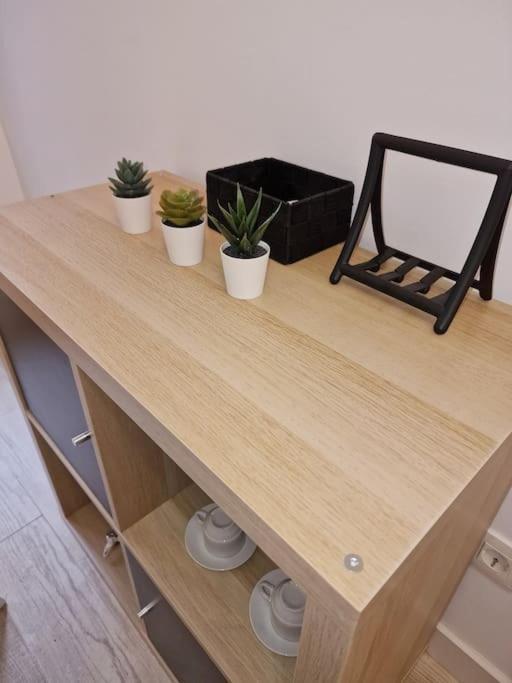 Mediodia Chica Apartamento Tipo Loft En La Latina Lejlighed Madrid Eksteriør billede